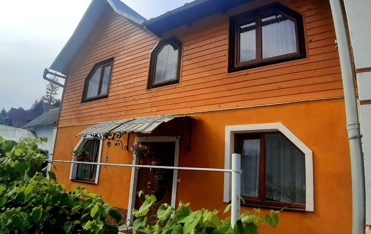 Guest House Karpaty 야렘체 외부 사진